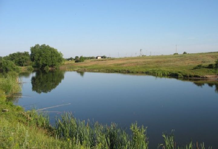 В пруду в Первомайске утонул мужчина