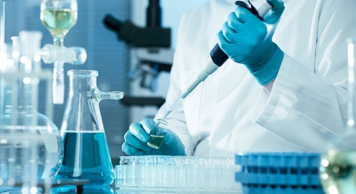 Обезьянья оспа добралась до Турции