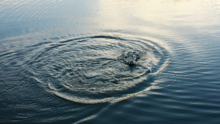 В Краснодоне на городском ставе утонул подросток