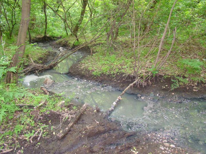 Фекальные реки,  мусорные берега