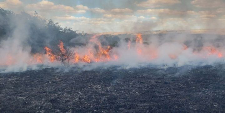 В Свердловске горел заповедник