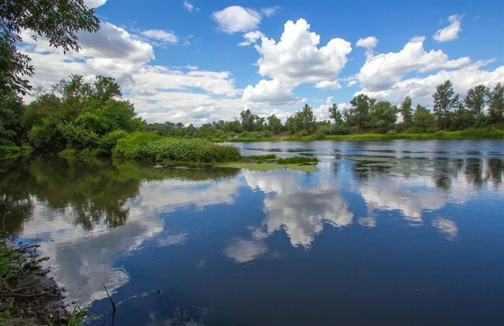 Спасатели извлекли тело утонувшего мужчины из реки Лугань