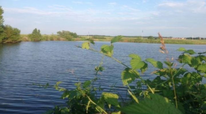 В водоёме в Станично-Луганском районе нашли труп