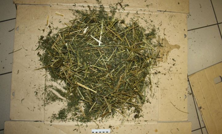 У жителя Белолуцка нашли наркотические вещества