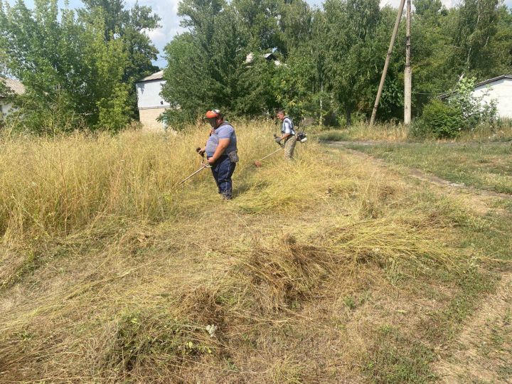 В Суходольске продолжается покос травы