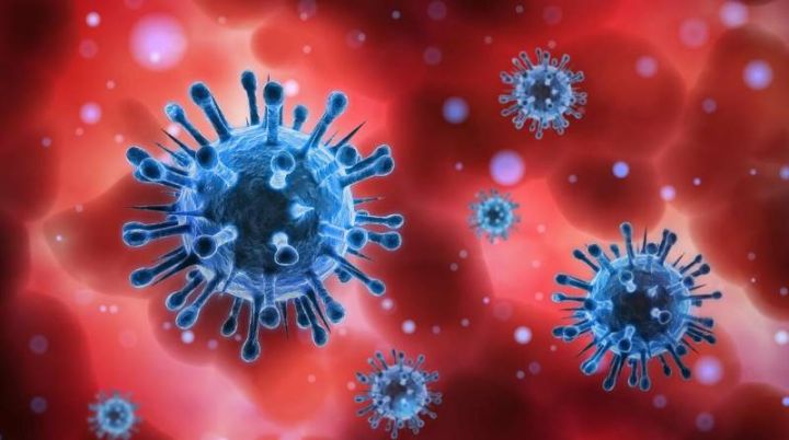 В ЛНР за выходные COVID-19 заразились 20 человек, есть летальные случаи