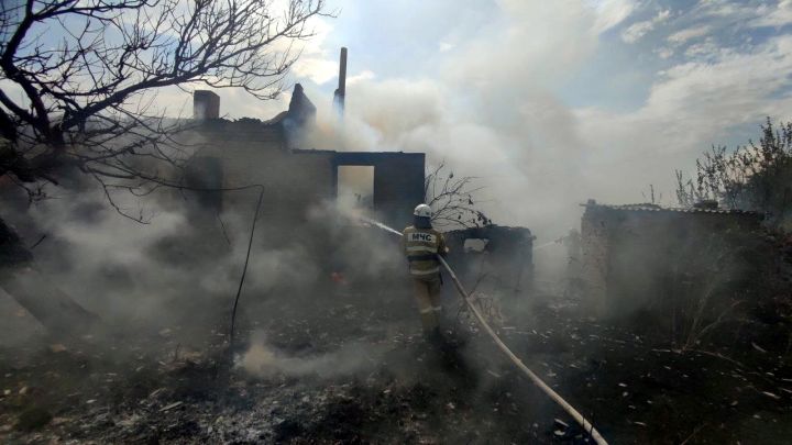 Масштабные пожары фиксируют в ЛНР второй день: экосистема Республики несёт значительные убытки