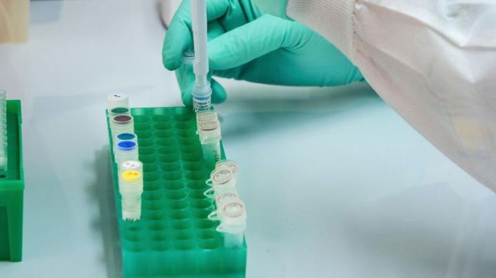 За сутки в ЛНР выявили более 80 случаев заражения коронавирусом