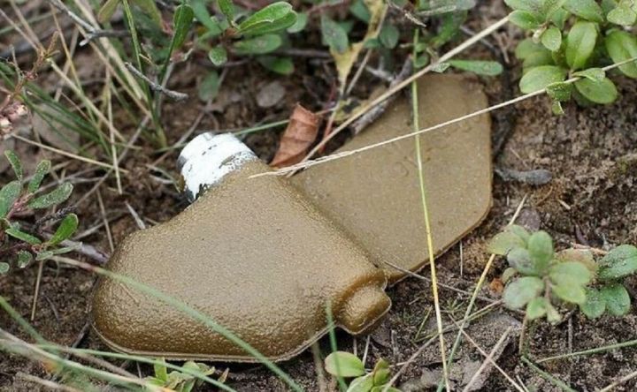 В Донецке погибла 14-летняя девочка, подорвавшись на мине