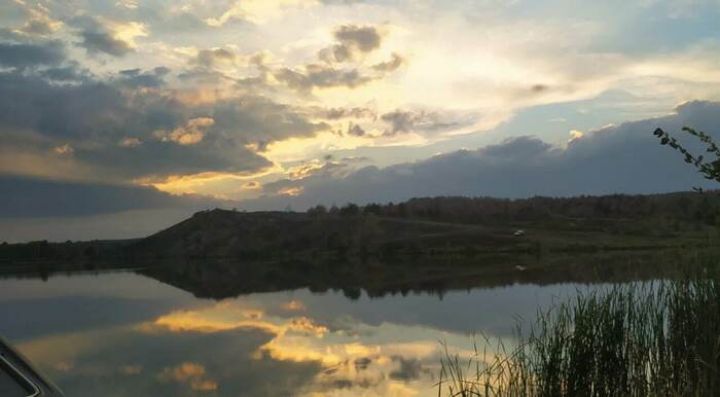 Браконьеры пойманы с поличным в Лутугинском районе