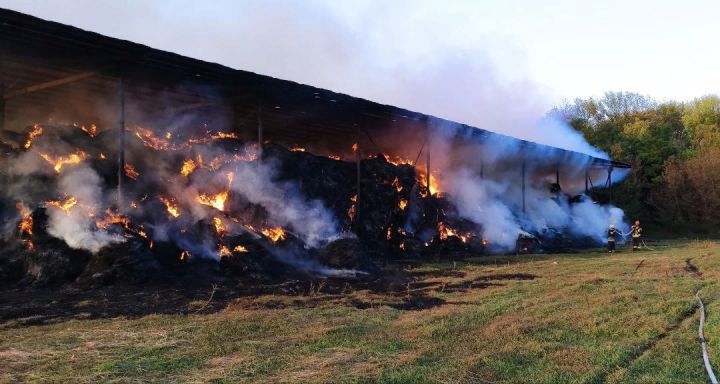 На конном заводе в Беловодском районе случился пожар