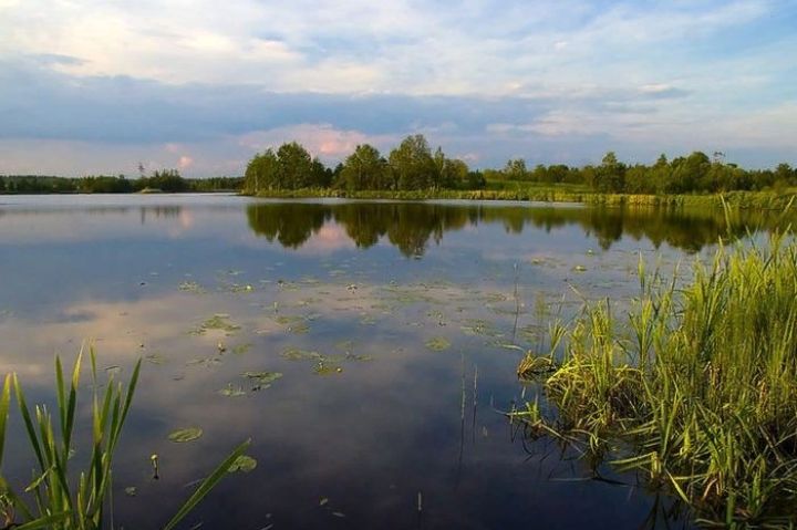 Мужчина утонул в Славяносербском районе