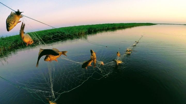 Минприроды составило протокол на мужчину за ловлю рыбы сетью в Счастье