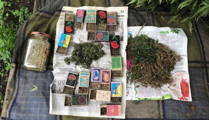 В селе Валуйское нашли марихуану