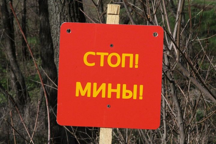 В Славяносербске женщина пострадала от взрывоопасного предмета