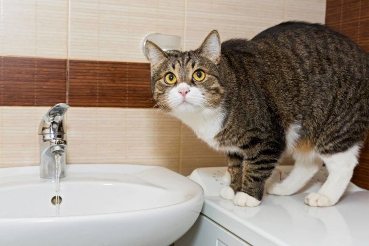 Некоторые посёлки Свердловского района остались без воды