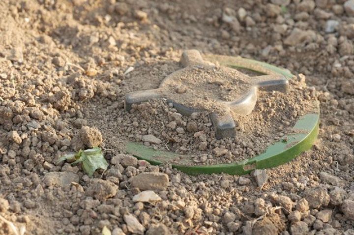 В Славяносербском районе мужчина подорвался на неизвестном предмете в лесополосе