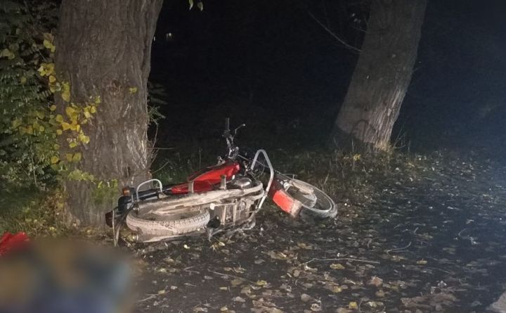 ДТП с летальным исходом произошло в Краснодонском районе