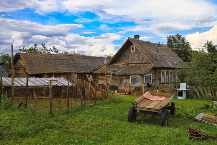 Лукашенко рассказал, что намерен делать с деревнями в Беларуси