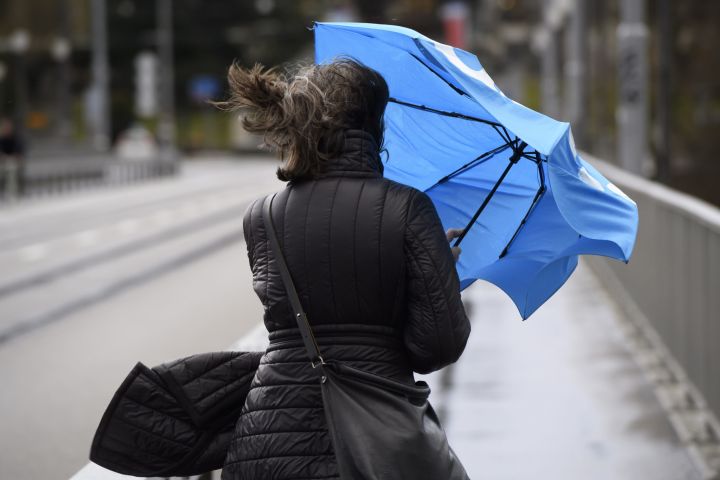 Штормовое предупреждение объявлено в ЛНР на 19 ноября