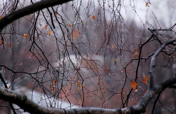 Понижение температуры воздуха ожидается в ЛНР