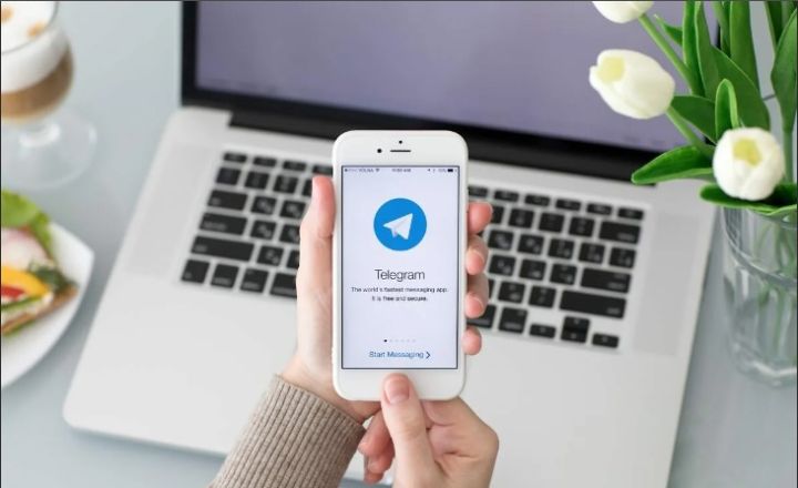 Для жителей ЛНР в Telegram запустили бот «Сдай пособника укропов»