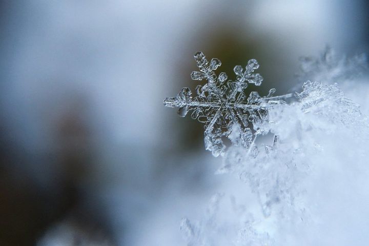Снег и потепление ожидаются в ЛНР