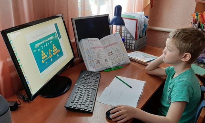 Некоторые свердловские школы перешли на дистанционку