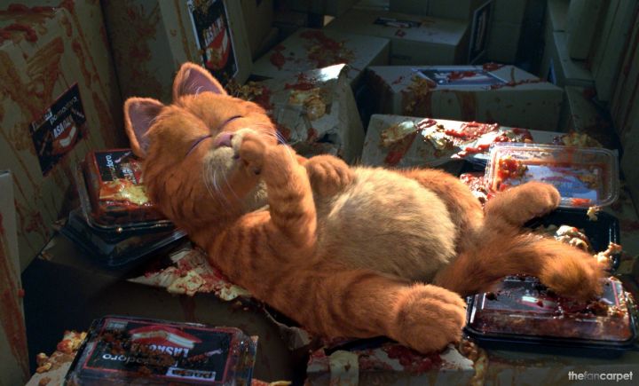 Лишние килограммы после новогодних праздников уйдут без жёстких диет – ФИЦ питания