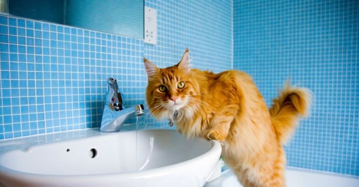 Часть кварталов Луганска осталась без воды