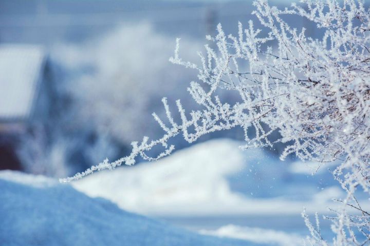 Осадки в виде снега ожидаются в ЛНР 29 января