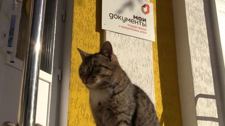 Адреса МФЦ, которые открываются в ЛНР с 1 февраля