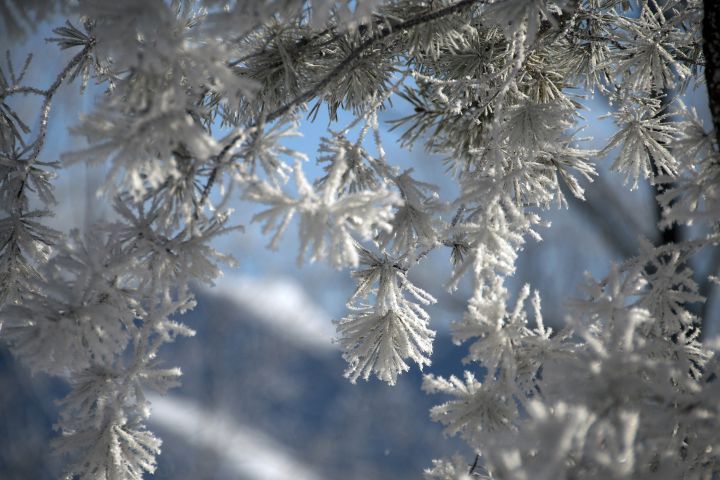 Осадки в виде снега ожидаются в ЛНР 2 февраля