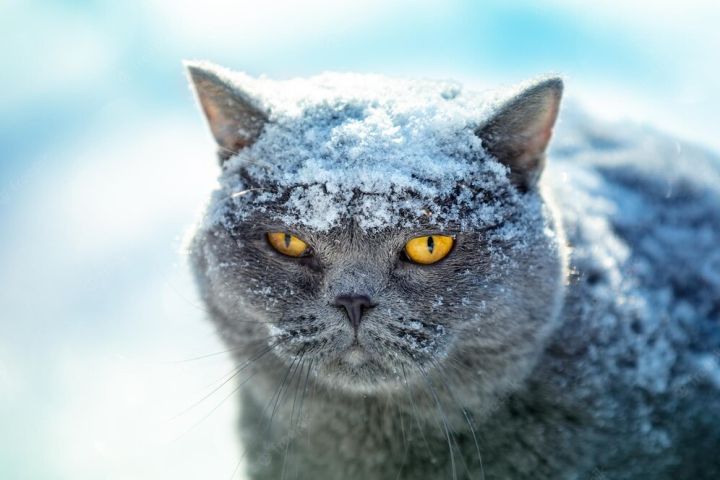 Снег и морозы ожидаются в ЛНР в начале новой рабочей недели
