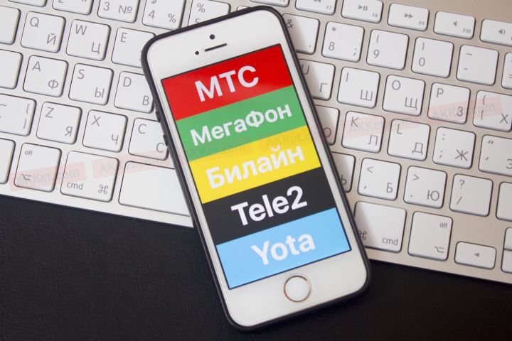 В ЛНР и ДНР заработает единый российский мобильный оператор