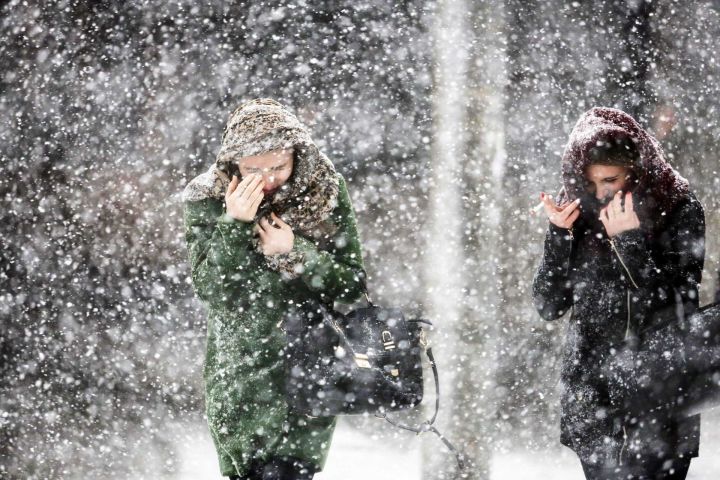 Мокрый снег, туман и сильный ветер ожидаются в ЛНР 14 февраля