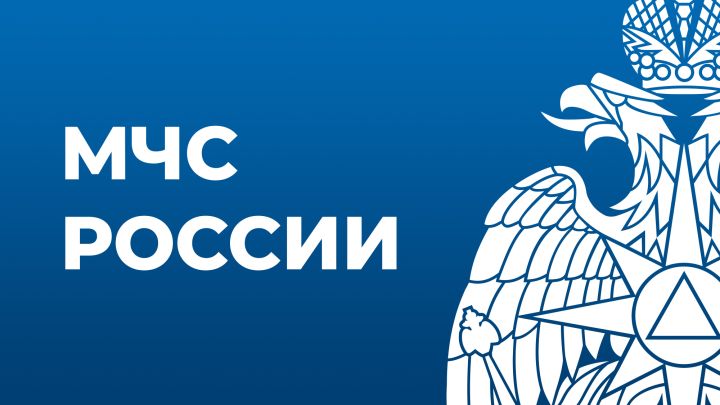 В ЛНР и ДНР создадут территориальные подразделения МЧС РФ – Путин