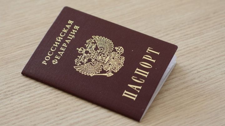 В ДНР планируют ускорить процесс выдачи паспортов РФ