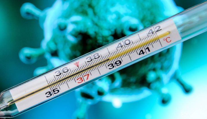 В ЛНР за два дня зафиксировали почти 20 случаев заражения COVID-19, в том числе летальный