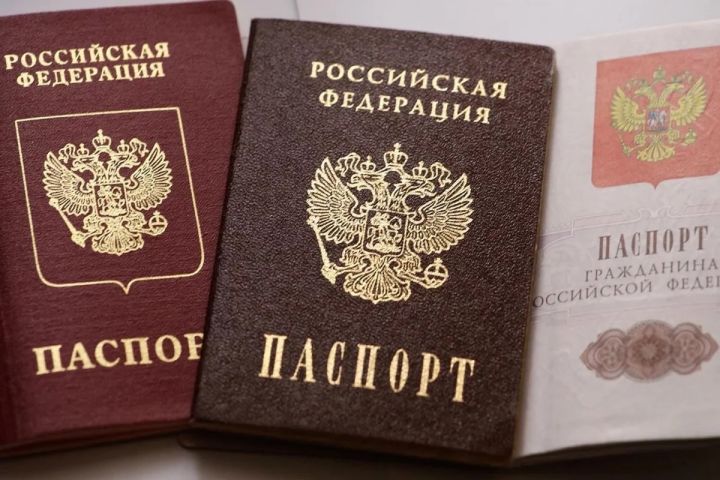 В ЛНР началась выездная выдача российских паспортов