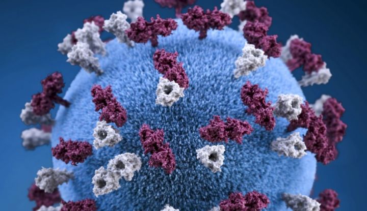 В ЛНР по состоянию на 6 апреля выявили более 60 случаев заражения коронавирусом