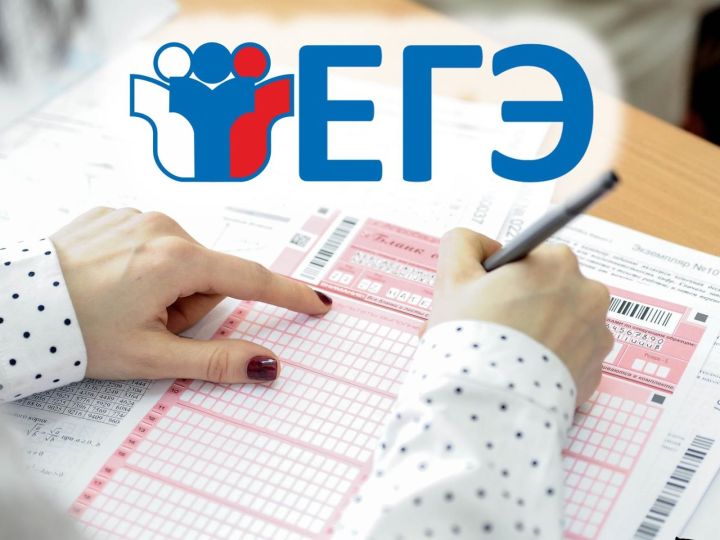Для выпускников в ЛНР организовали 15 пунктов для сдачи ЕГЭ (список адресов)
