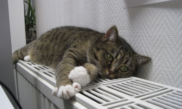 В ЛНР перенесли завершение отопительного сезона из-за надвигающихся холодов