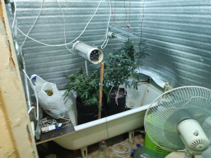 Во все тяжкие: житель Алчевска соорудил в квартире мини-ферму по выращиванию конопли