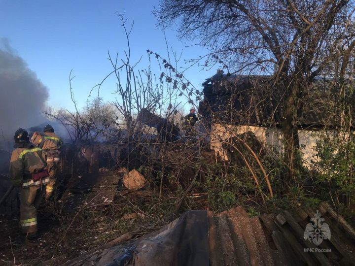 В Первомайске от гибели в огне спасли стадо коз