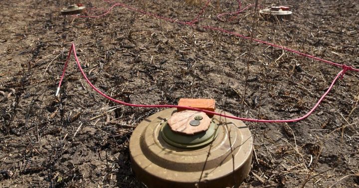 За сутки в ЛНР на взрывоопасных предметах подорвались трое мужчин