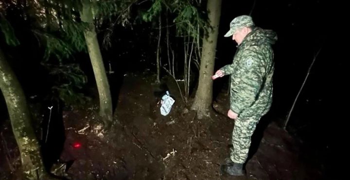 В Петербурге подростки зверски убили 13-летнюю девочку и закопали её тело в лесу