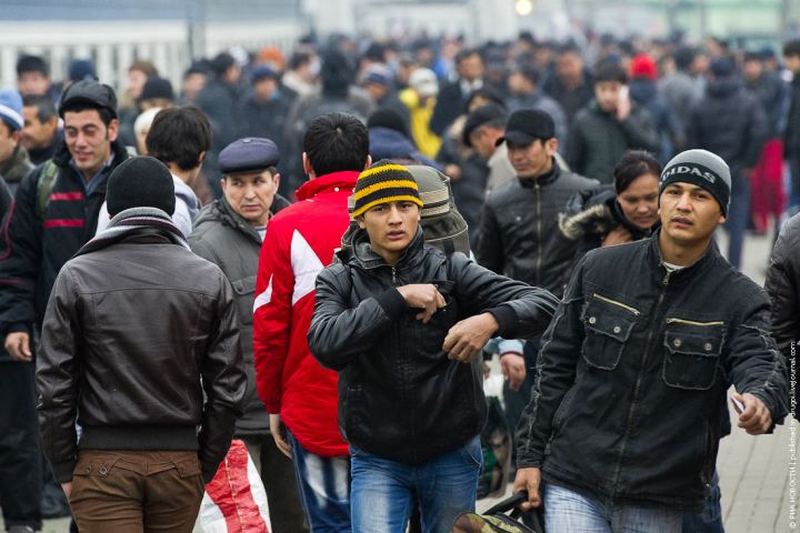 Госдума рассматривает проект о призыве в зону СВО лиц с двойным гражданством