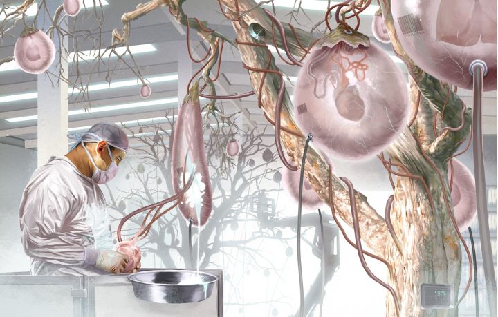 Учёные выяснили, что «заменитель» глюкозы может вызвать рак