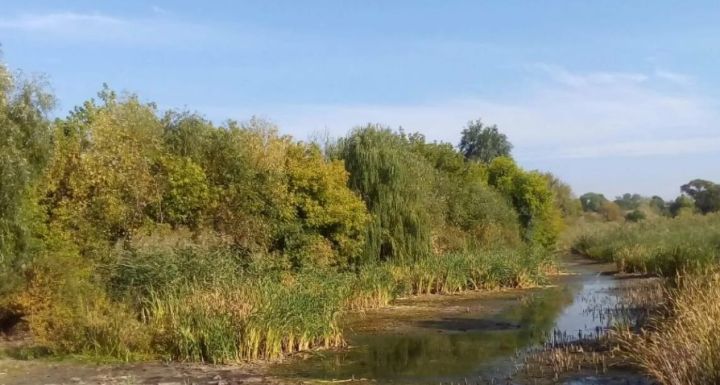 ВСУ обстреляли одно из сёл в ЛНР: погибли два человека, ещё два пострадали